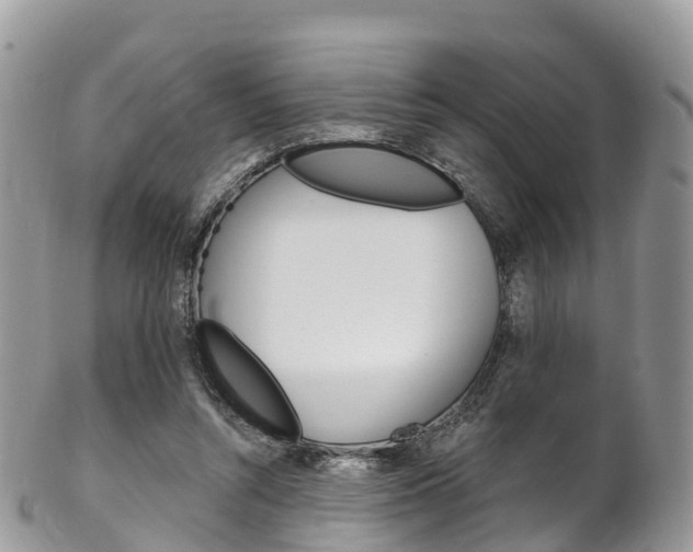 X0000102790352200808180959
