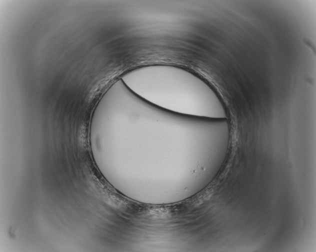 X0000102790353200808180959