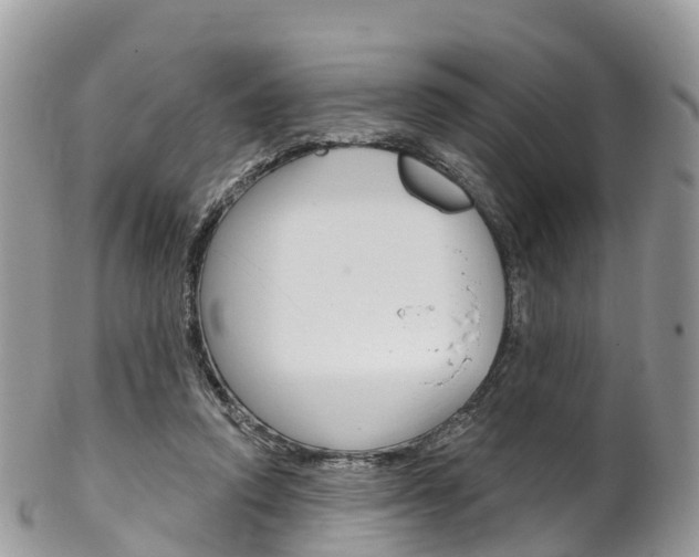 X0000102790354200808180959
