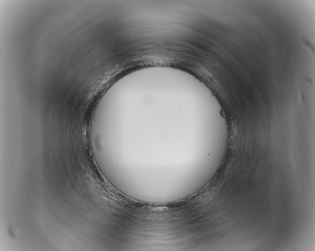 X0000102790355200808180959