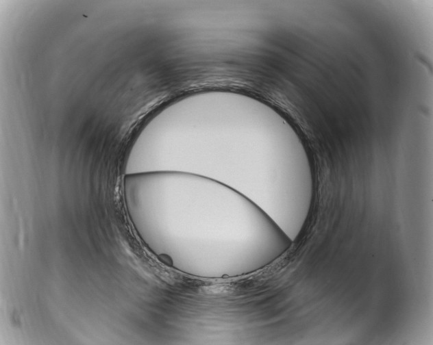 X0000102790356200808180959
