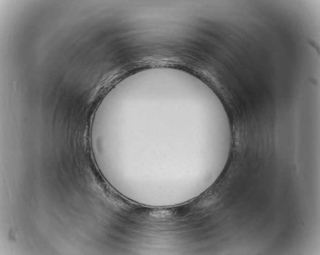 X0000102790357200808180959