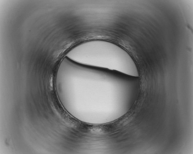 X0000102790358200808180959