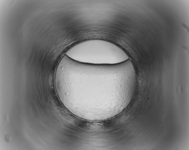 X0000102790359200808180959