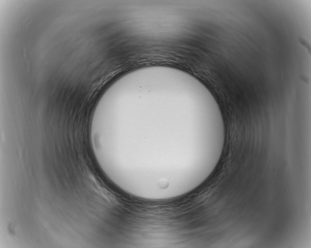 X0000102790360200808180959