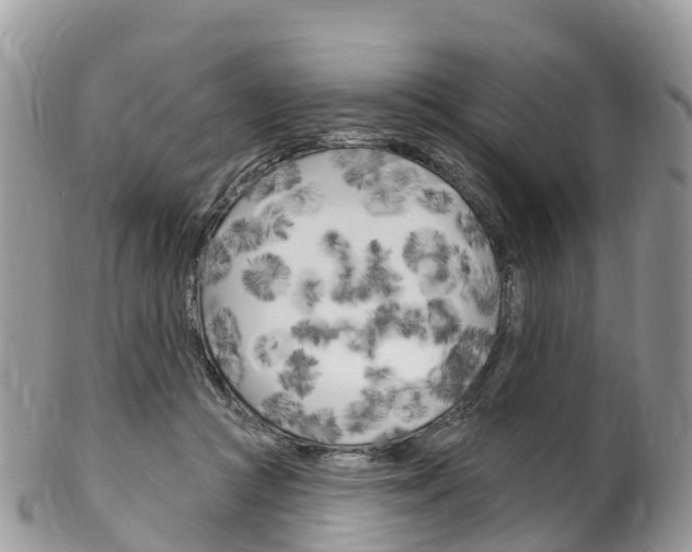 X0000102790361200808180959