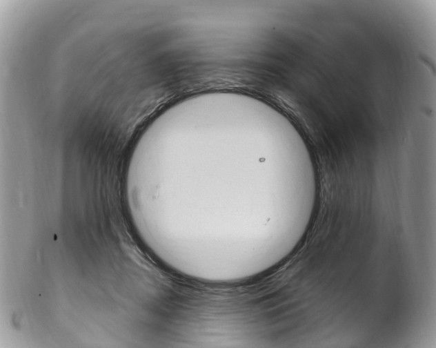 X0000102790362200808180959