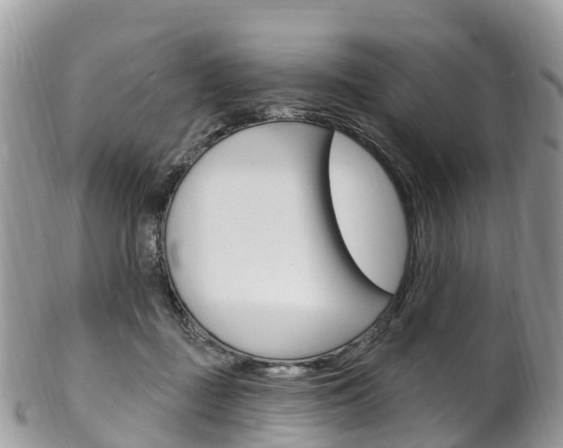 X0000102790363200808180959