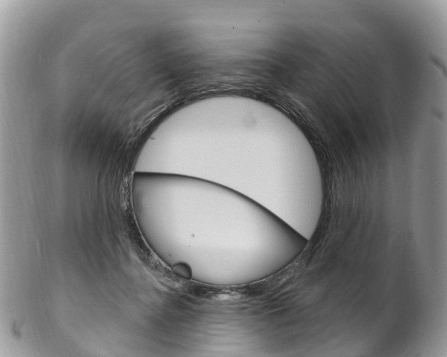 X0000102790364200808180959