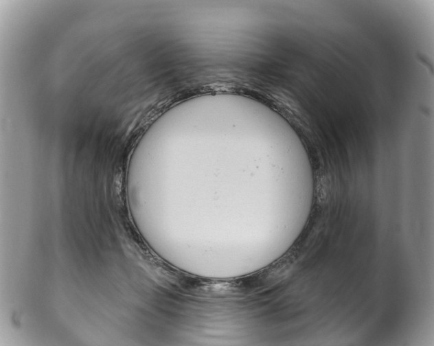 X0000102790365200808180959