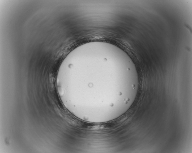 X0000102790366200808180959