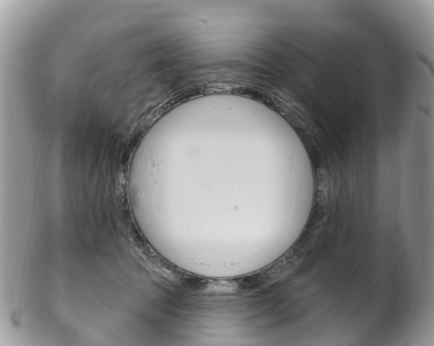X0000102790369200808180959