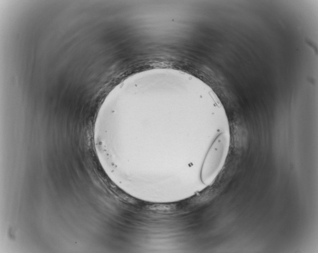 X0000102790370200808180959
