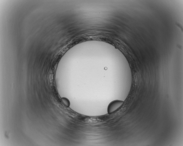 X0000102790372200808180959
