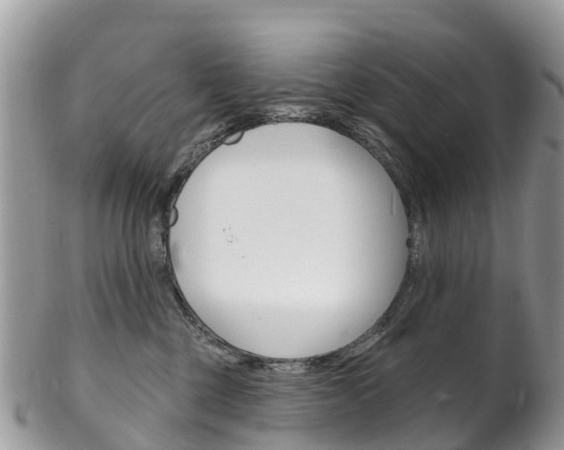 X0000102790377200808180959