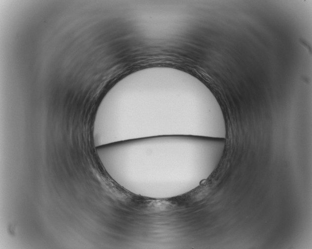 X0000102790379200808180959