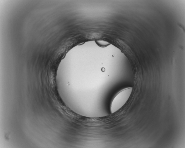 X0000102790380200808180959