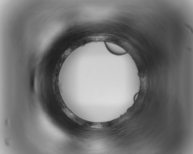X0000102790381200808180959