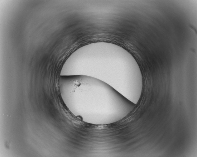 X0000102790382200808180959