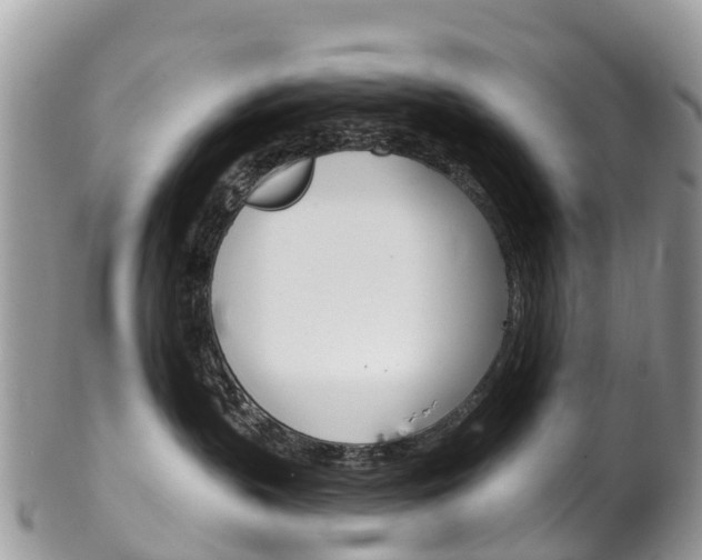 X0000102790383200808180959