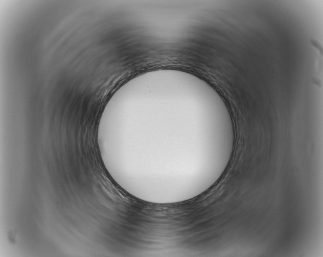 X0000102790384200808180959