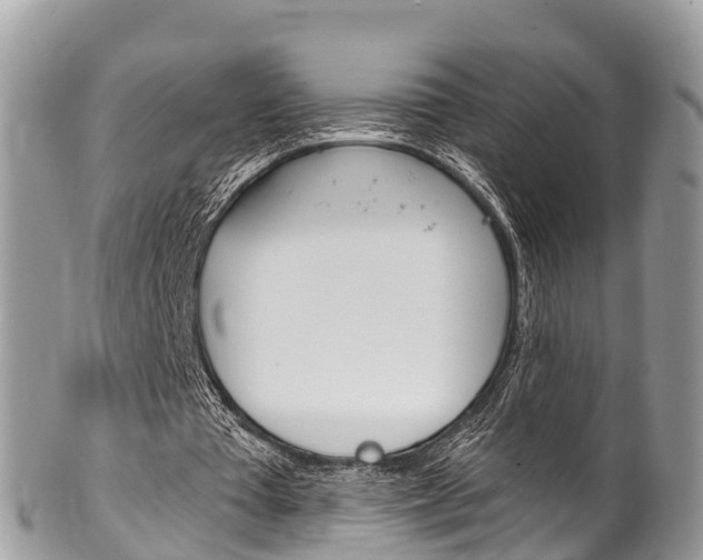 X0000102790385200808180958