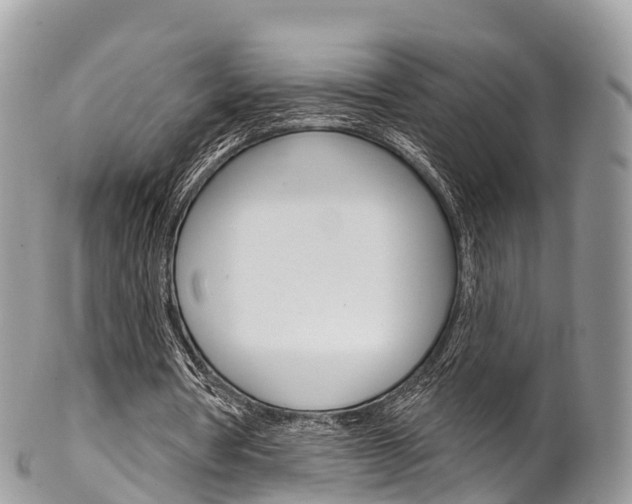 X0000102790386200808180958