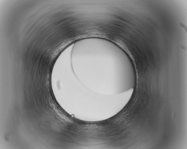 X0000102790389200808180958