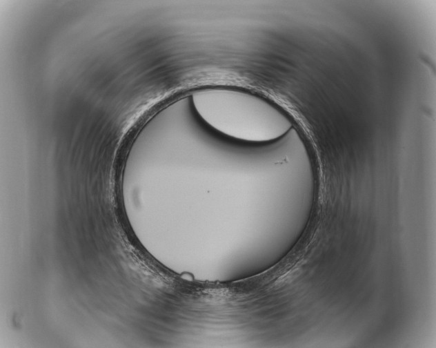 X0000102790391200808180958