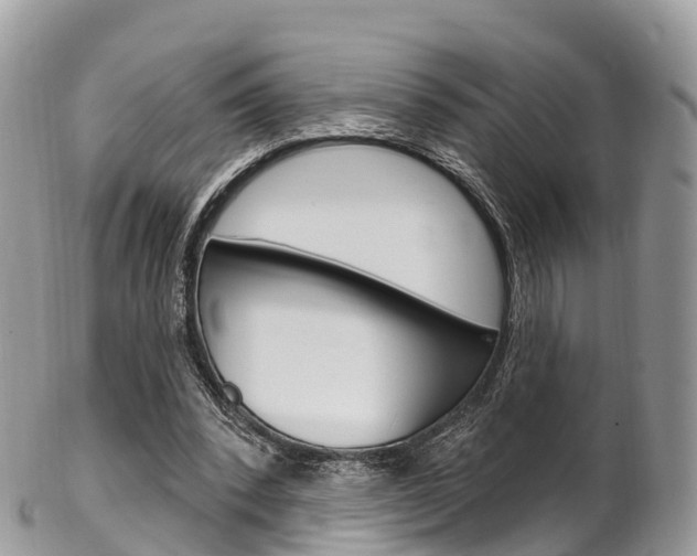 X0000102790392200808180958