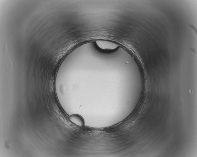 X0000102790393200808180958