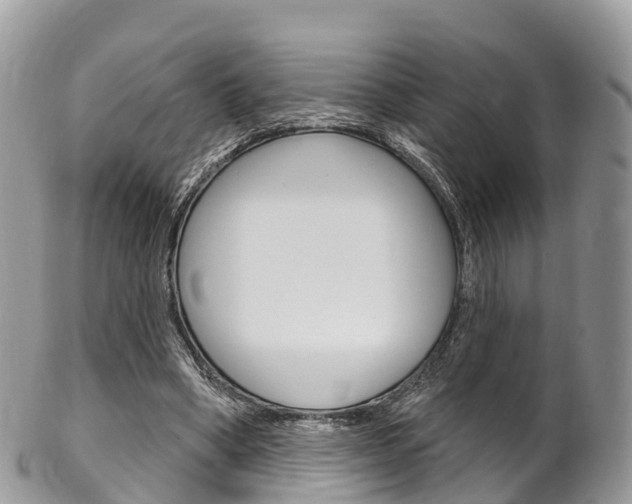 X0000102790394200808180958
