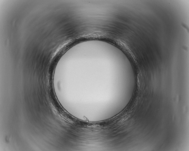 X0000102790396200808180958