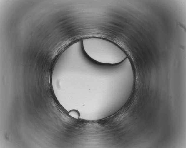 X0000102790397200808180958