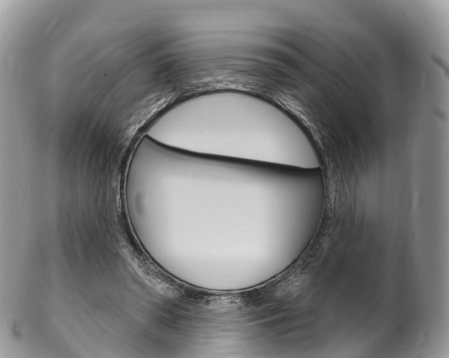 X0000102790398200808180958