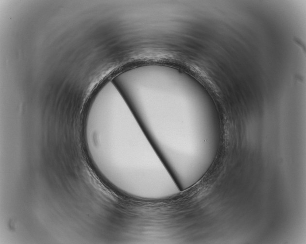 X0000102790399200808180958