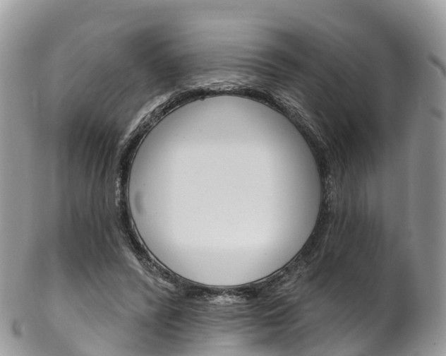 X0000102790400200808180958