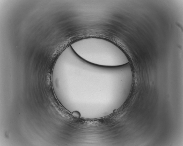 X0000102790401200808180958