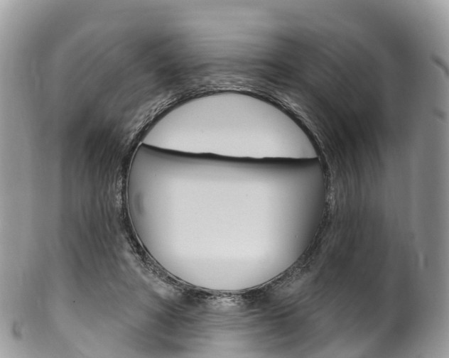 X0000102790402200808180958