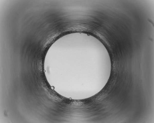 X0000102790403200808180958