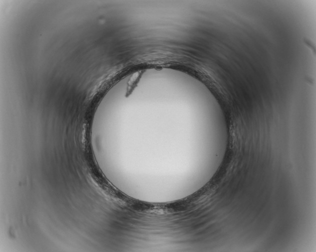 X0000102790404200808180958
