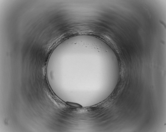X0000102790405200808180958