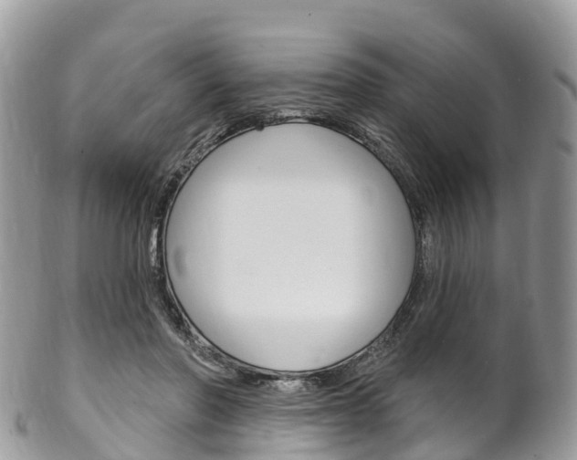 X0000102790406200808180958