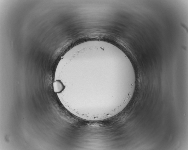 X0000102790407200808180958