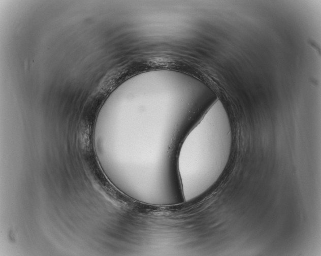 X0000102790408200808180958
