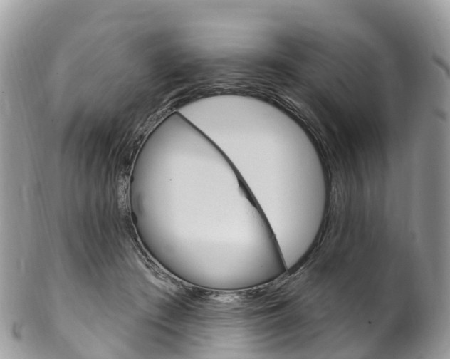 X0000102790409200808180958