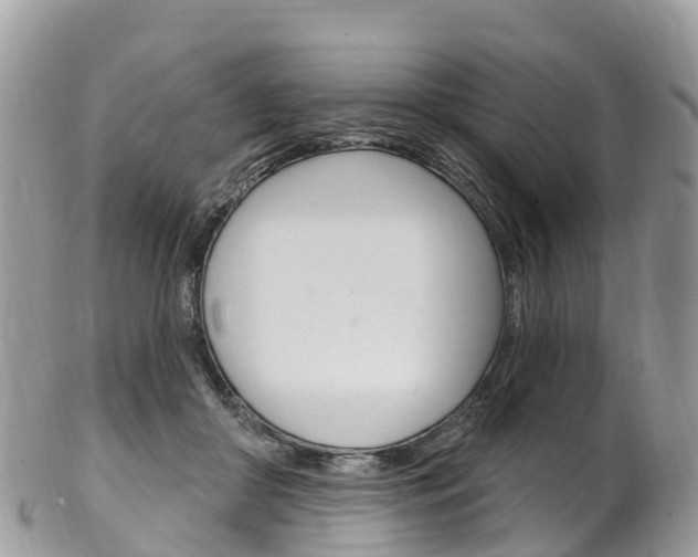 X0000102790410200808180958