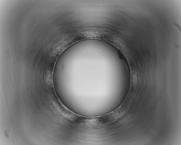 X0000102790411200808180958