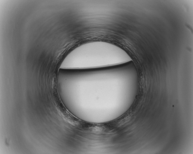 X0000102790412200808180958