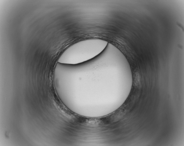 X0000102790414200808180958